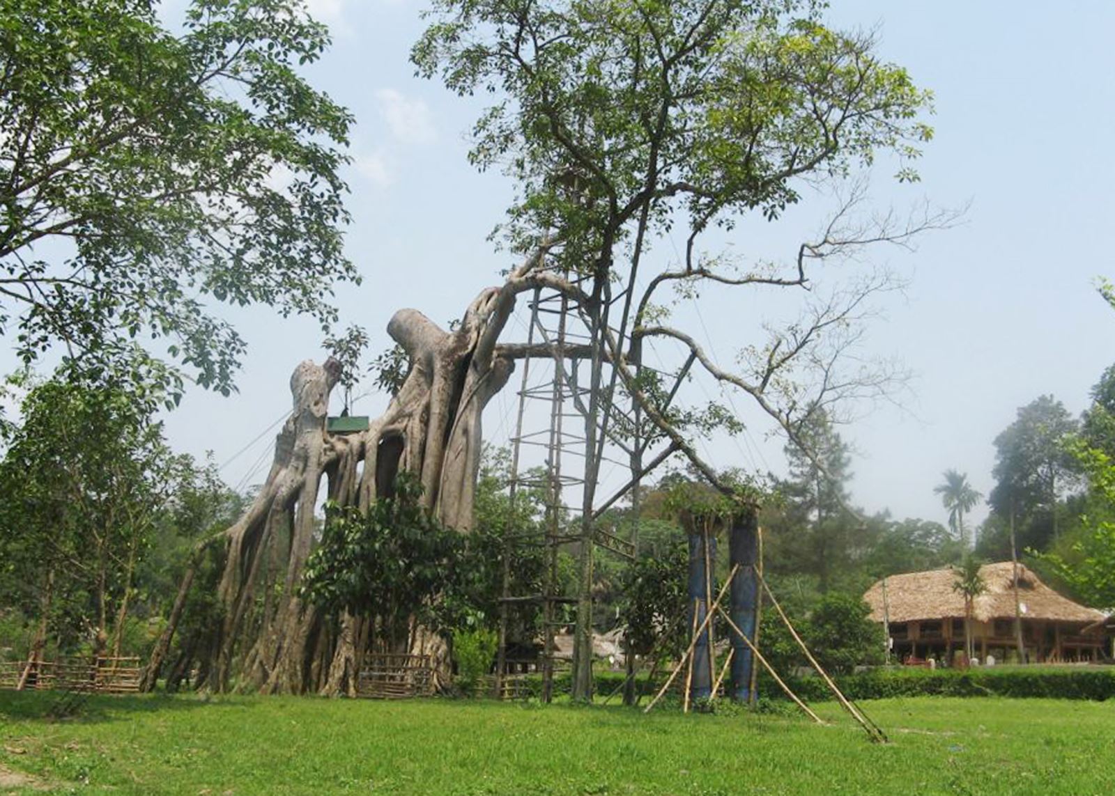 Thực trạng công tác quản lý di tích lịch sử quốc gia đặc biệt Tân Trào