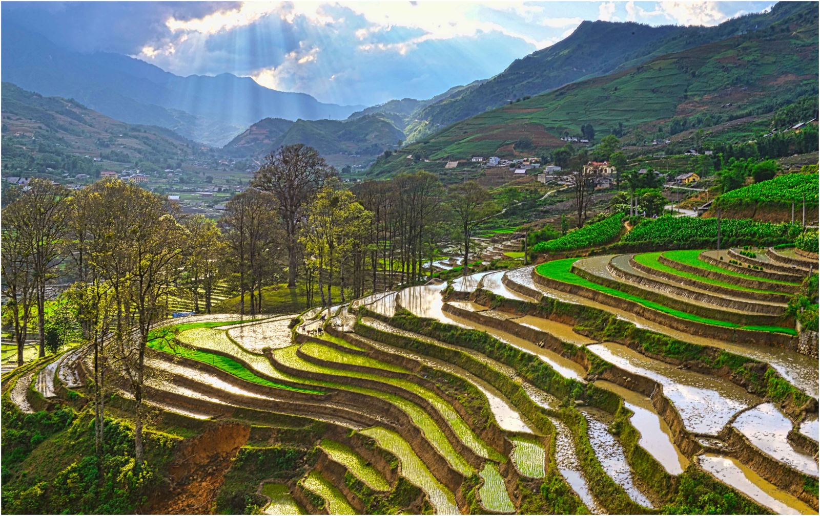 Quản lý và phát huy di sản văn hóa ruộng bậc thang ở Sa Pa, Lào Cai 