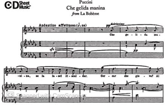 Phẩm chất đặc trưng của giọng Tenor trong các vở opera
