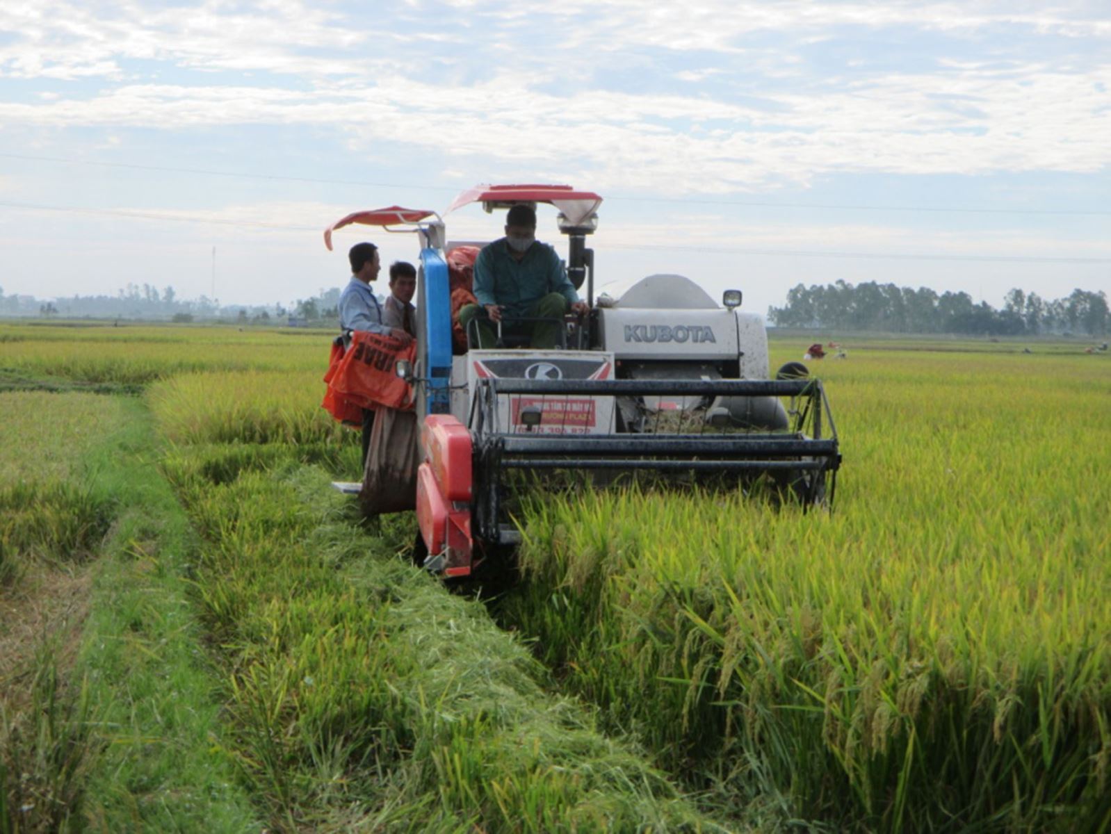 Diễn Châu xây dựng đời sống văn hóa cơ sở
