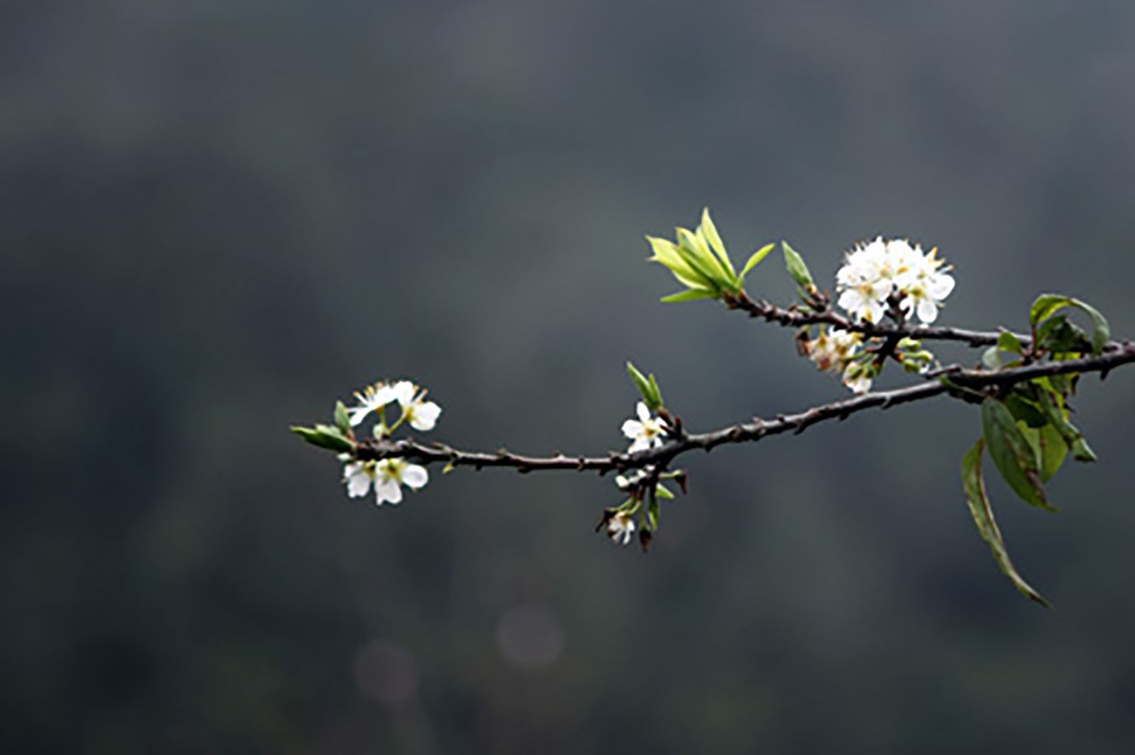 Những ngày cuối năm…