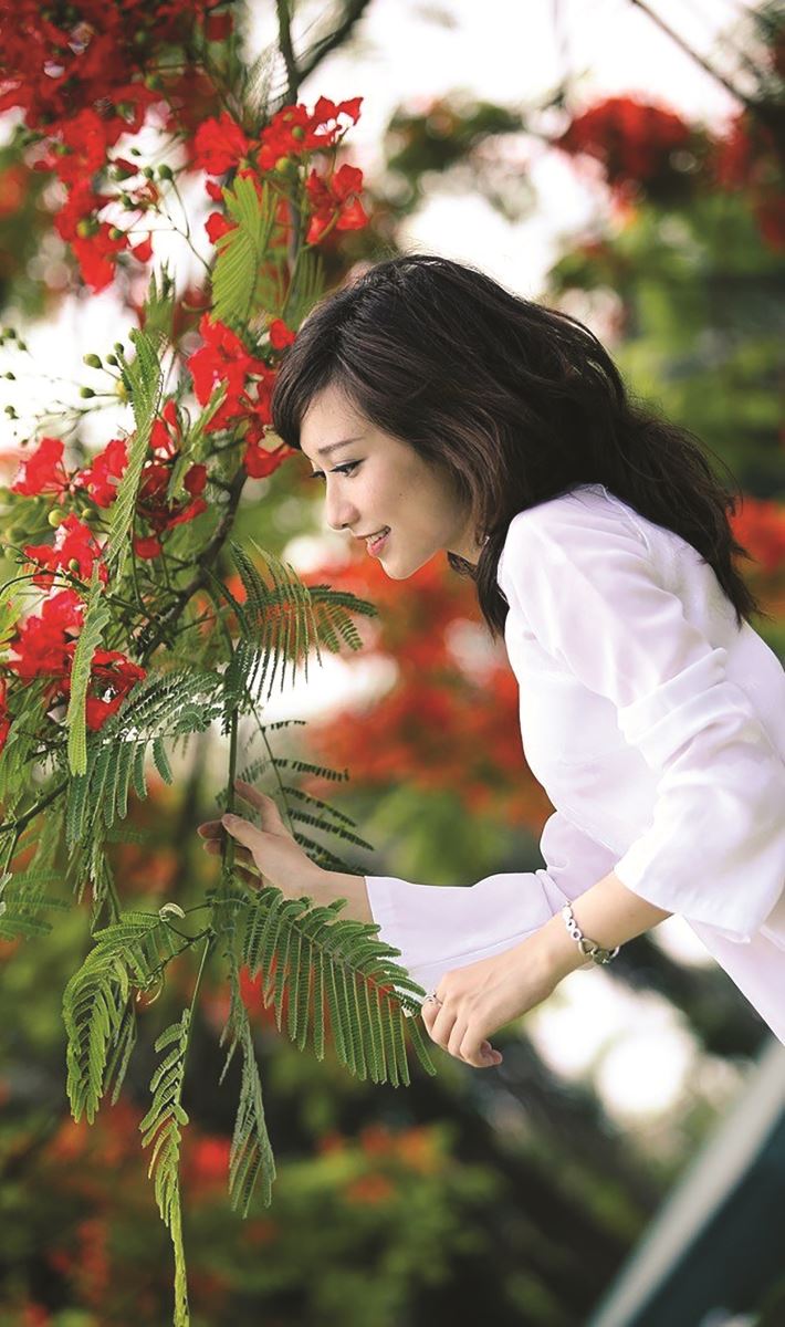 Nước mắt học trò