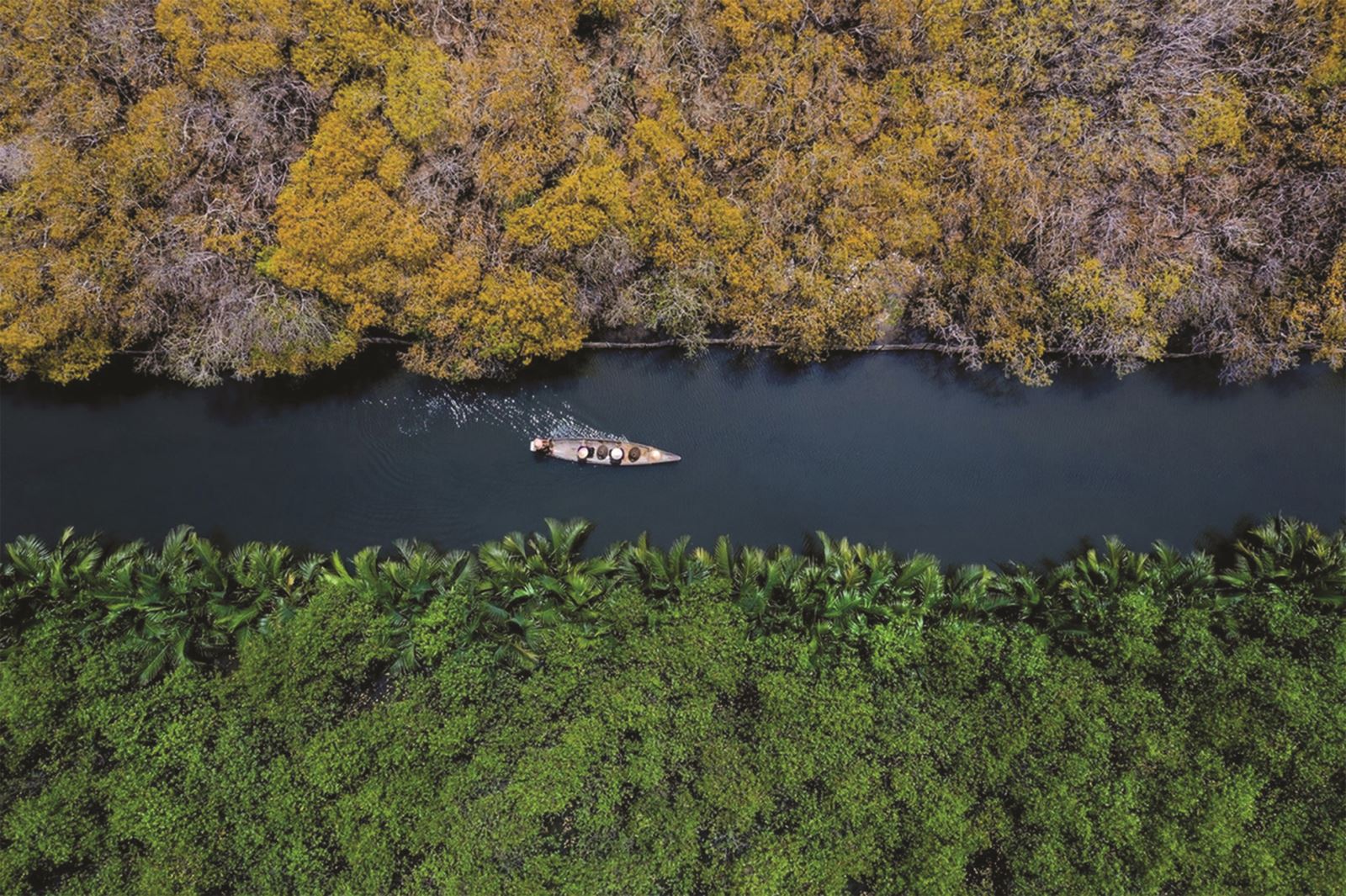Sức hút Rú Chá