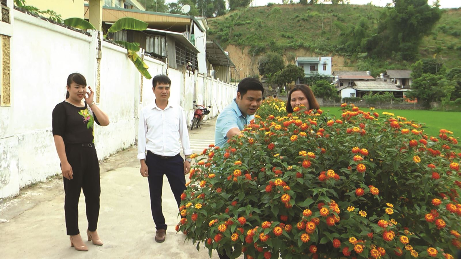 Những con đường “hạnh phúc”