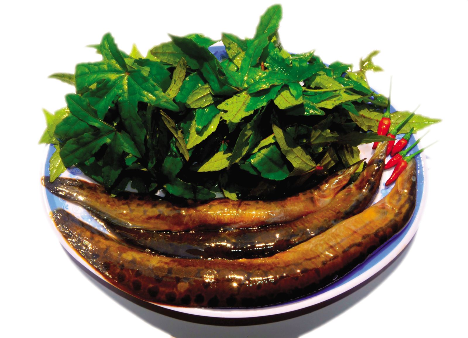 Nhớ bát canh rau soong mùa lũ