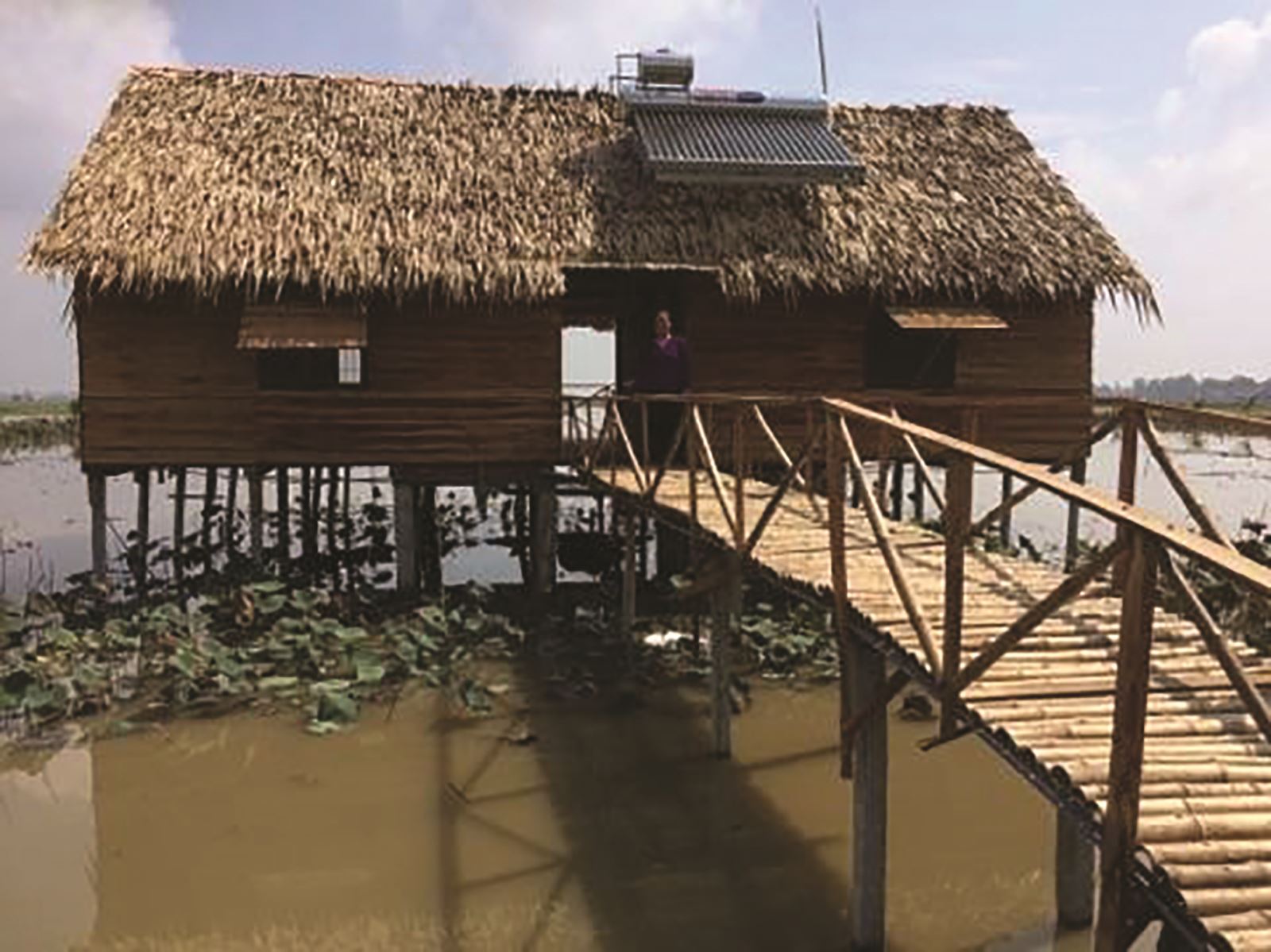 Khám phá mô hình du lịch “homestay” tại Tràm Chim 