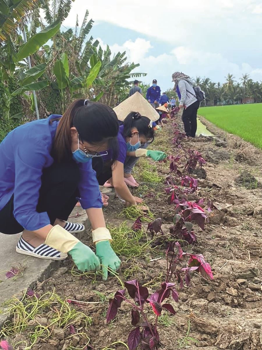Long Đức nâng cao các tiêu chí Nông thôn mới