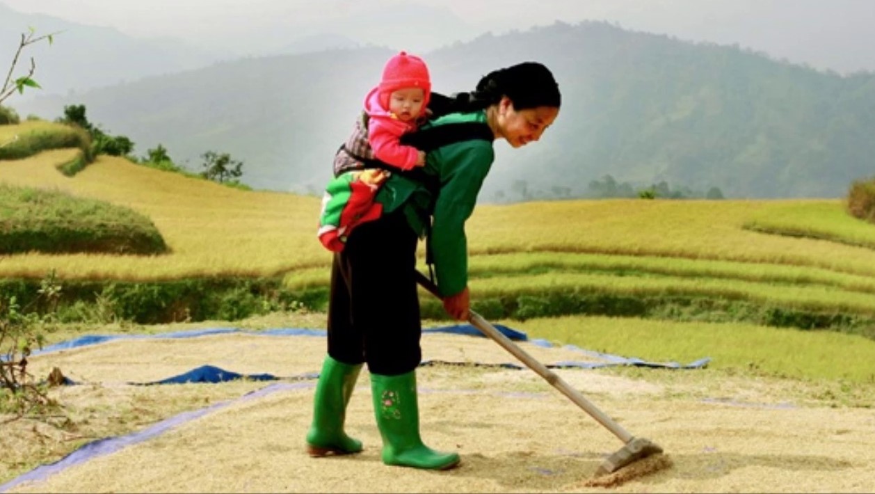 Giữ gìn giai điệu hát ru của người Mường ở Phú Thọ trong đời sống hiện nay