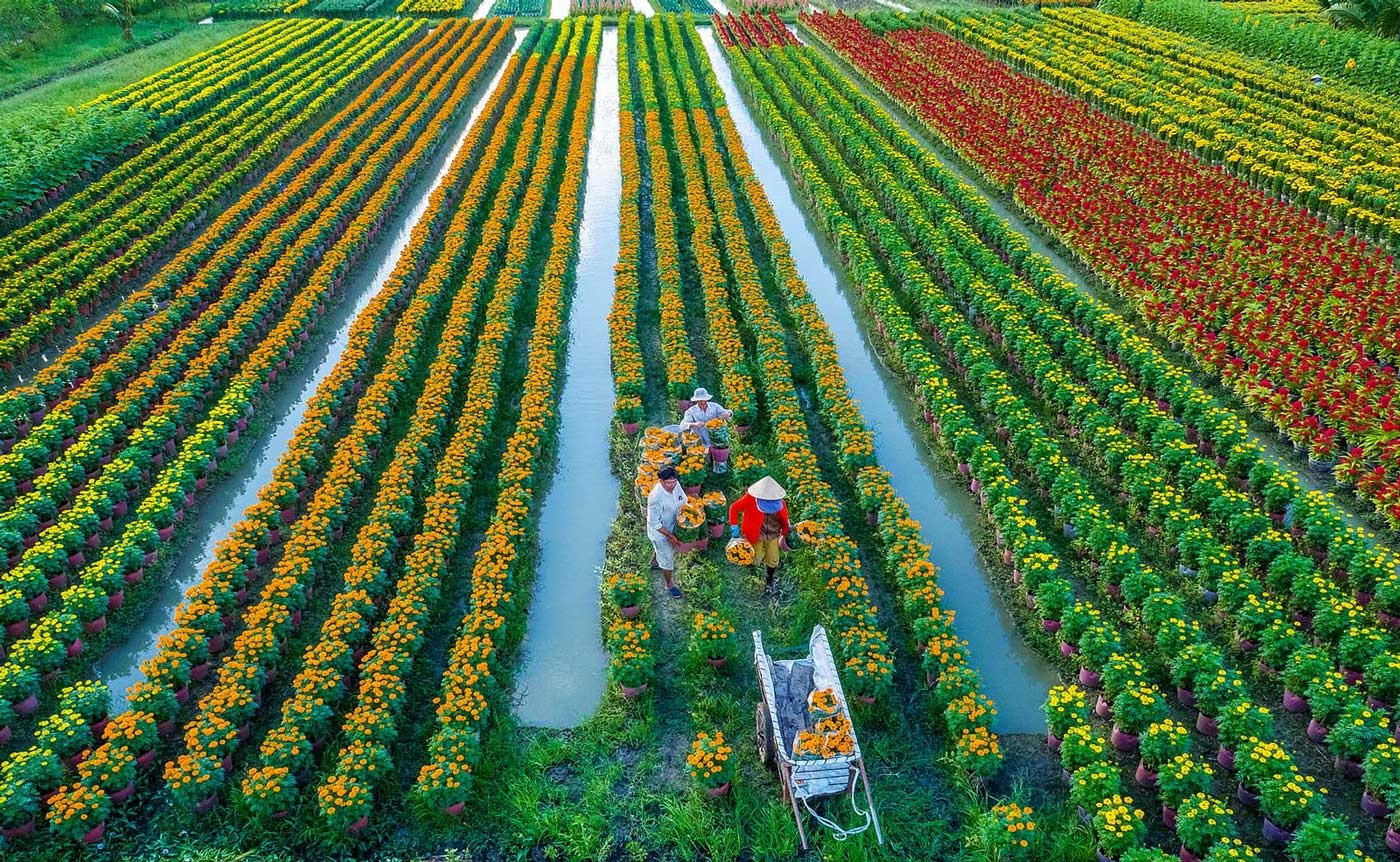 Những yếu tố cấu thành môi trường văn hóa ở khu vực nông thôn mới