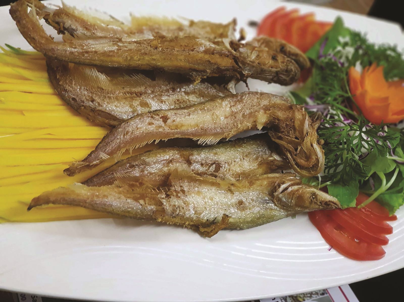 Cá trèn bầu nhiều chuyện trớt môi