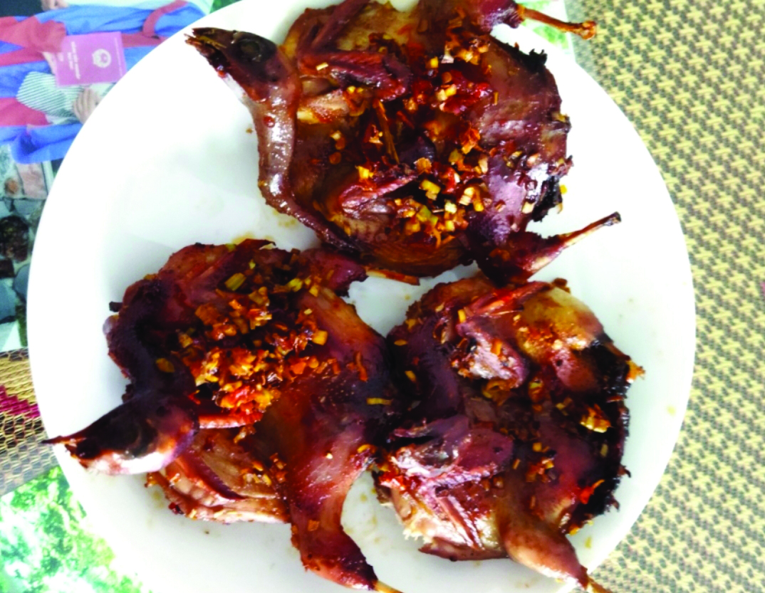 Tháng 5 chim cút gọi hè 