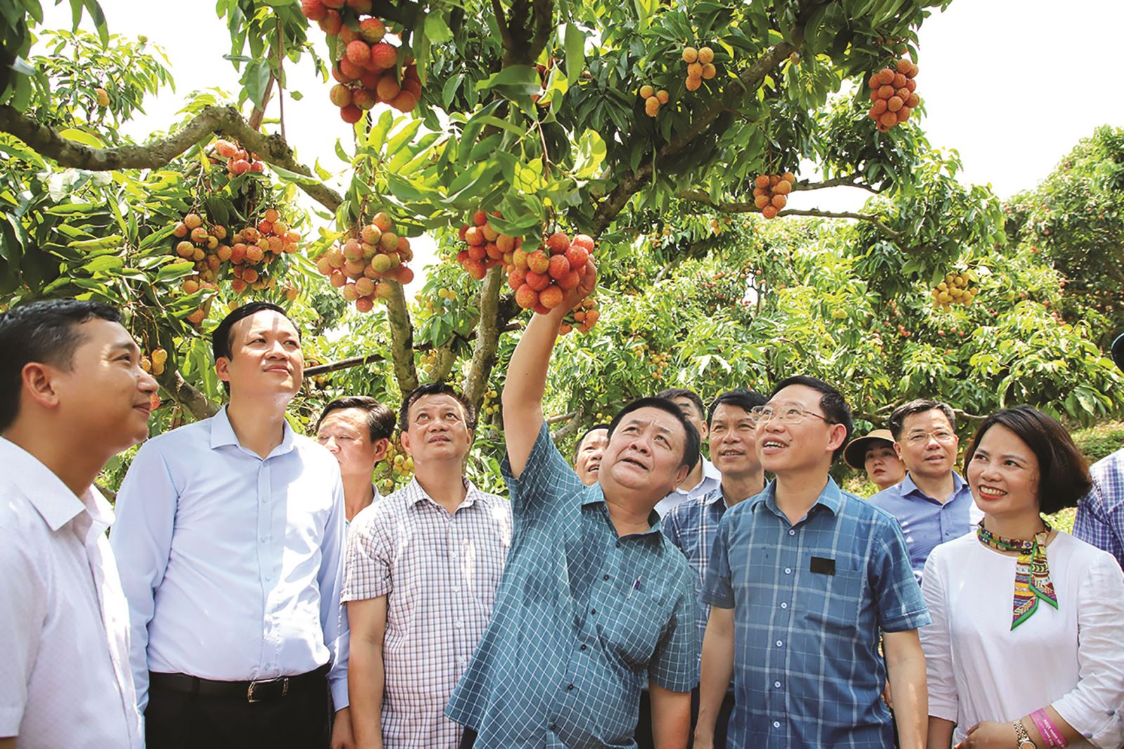 Khơi nguồn cảm hứng cho du lịch vải thiều