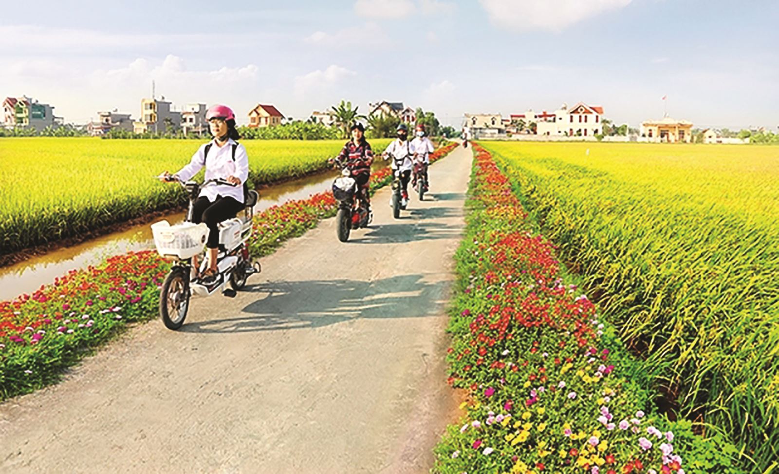 Huyện Yên Thành (Nghệ An): Xây dựng huyện Nông thôn mới nâng cao