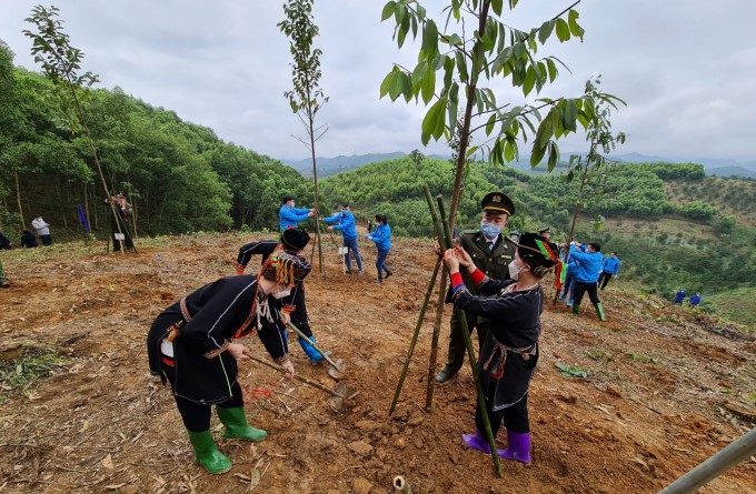 Tri thức dân gian trong bảo vệ tài nguyên rừng của người Dao với phát triển bền vững (Khảo sát vùng tái định cư thủy điện Tuyên Quang)