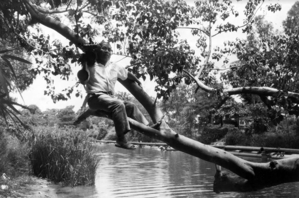 Các hình thức thể hiện trong phim khoa học của đạo diễn Lương Đức