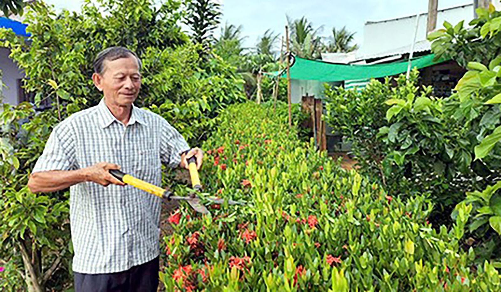 Người cựu chiến binh hết lòng với quê hương