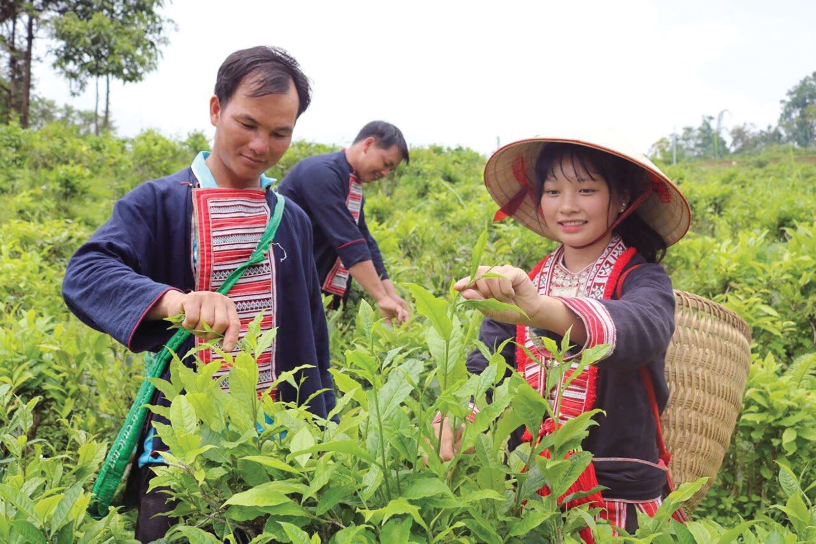 Hà Giang nỗ lực thực hiện chính sách dân tộc thiểu số 