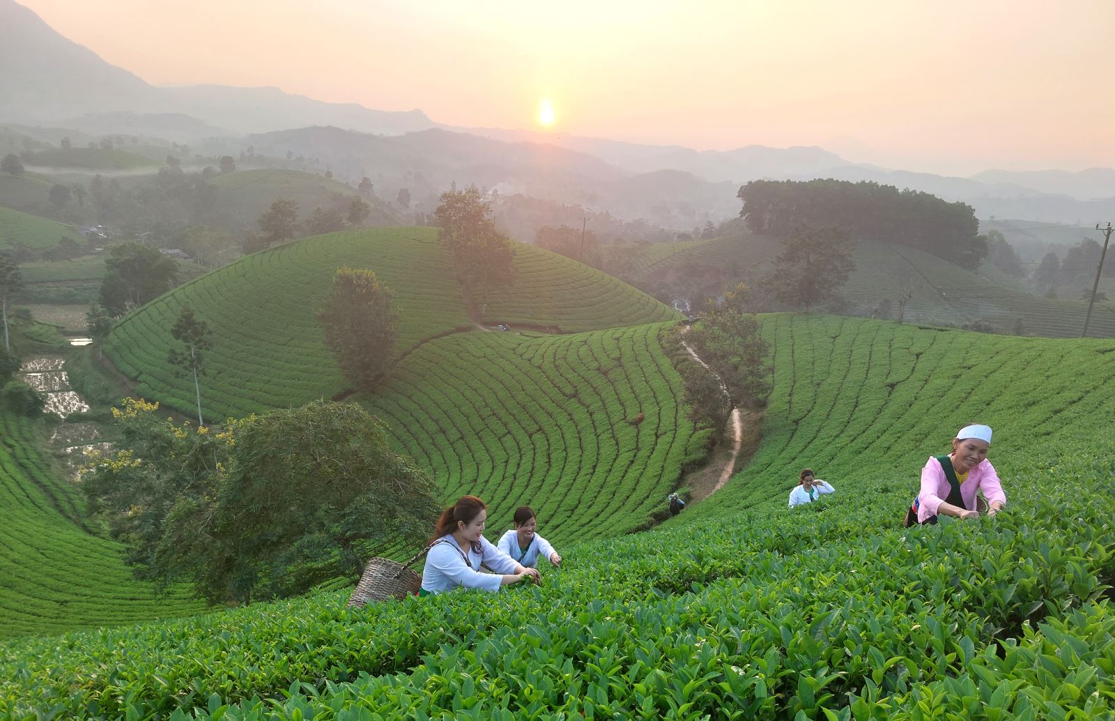 Hướng đến xây dựng văn hóa xanh ở Việt Nam