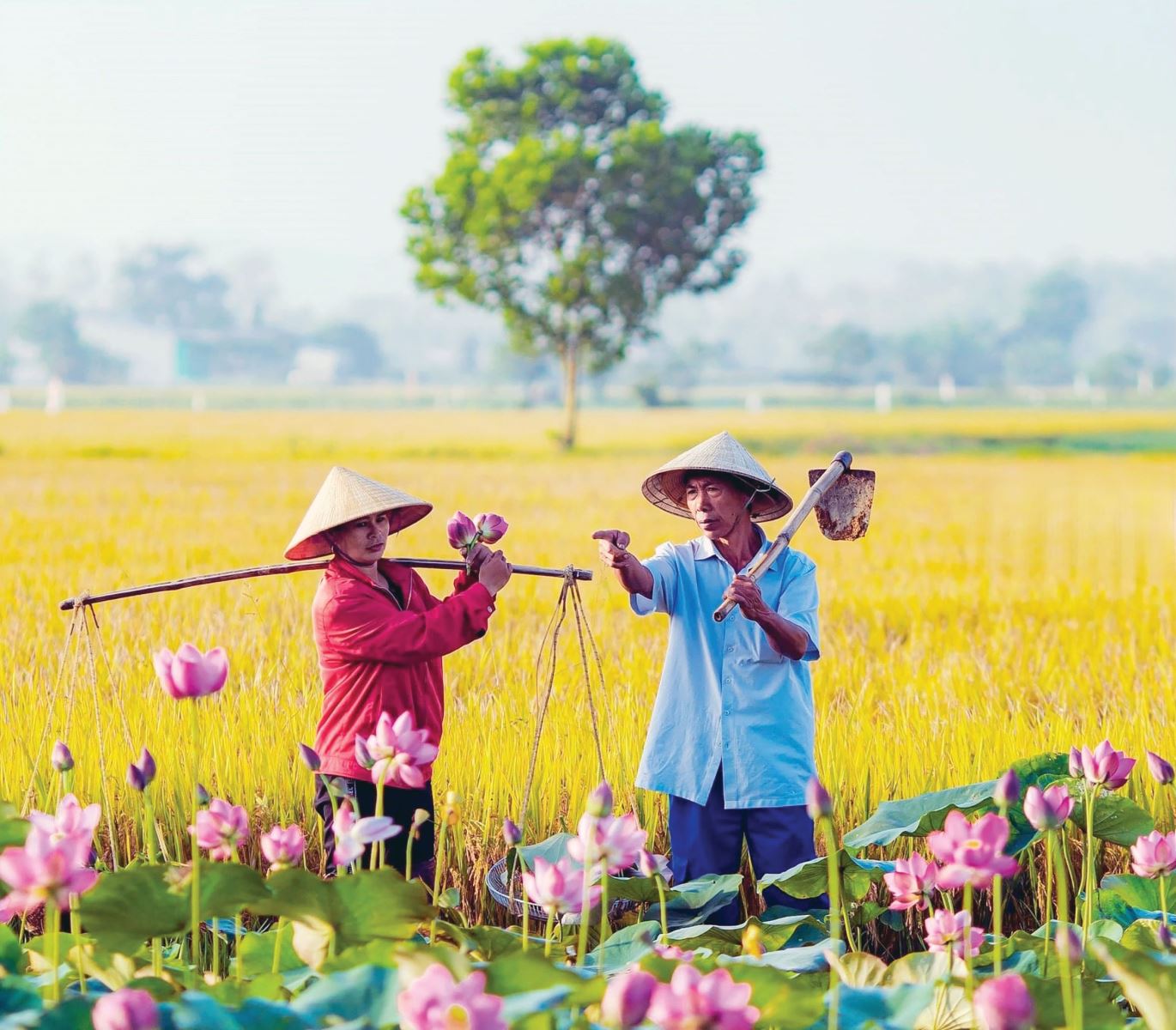 Vẻ đẹp của làng quê La Chữ trong xây dựng môi trường văn hóa