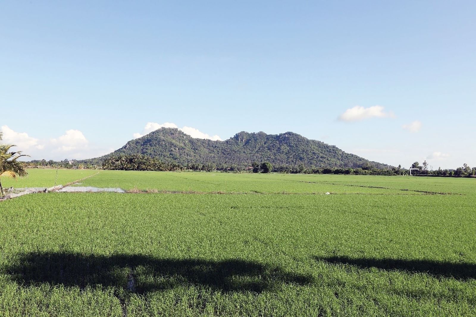 An Giang:  Phê duyệt kế hoạch quản lý di tích Óc Eo - Ba Thê