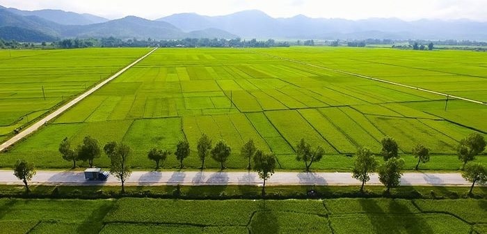 Bảo tồn và phát huy giá trị di sản văn hóa Cánh đồng Mường Thanh, tỉnh Điện Biên